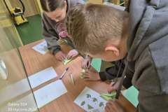 62e3b85c-93c2-49c1-9c76-aca213f0b38c