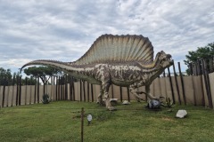 20260601_173040