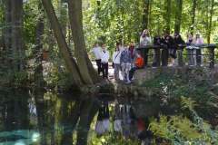 ecb90cd5-81a0-4dc9-8a4c-c735a87822a4-1