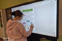 f6526135-2c36-4e62-9a03-178a0ad83336